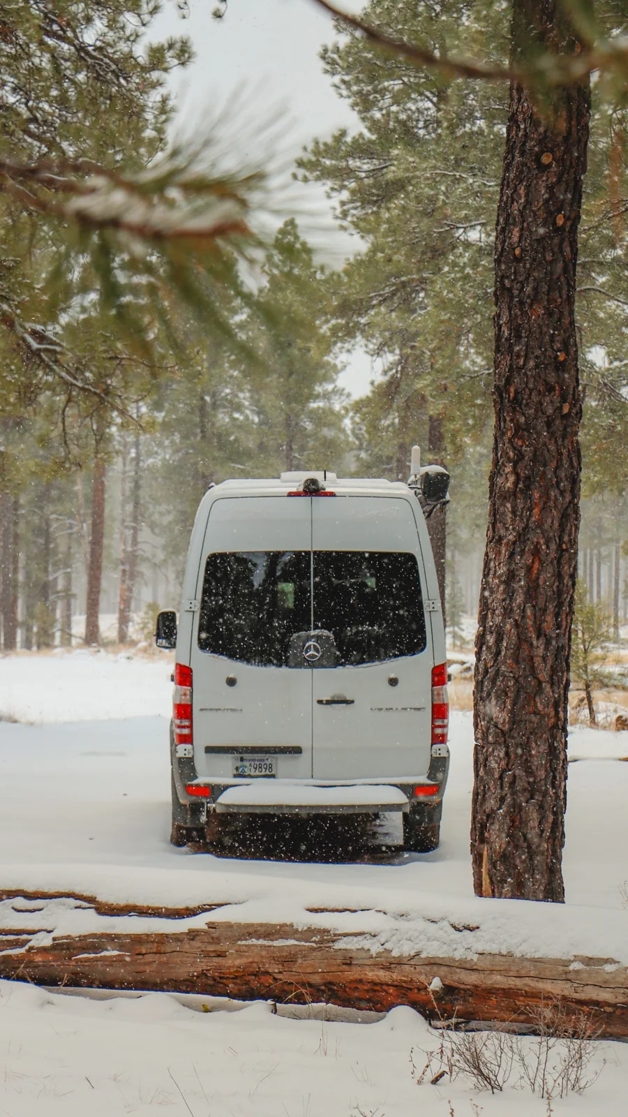 The finished van, photographed beneath the trees.