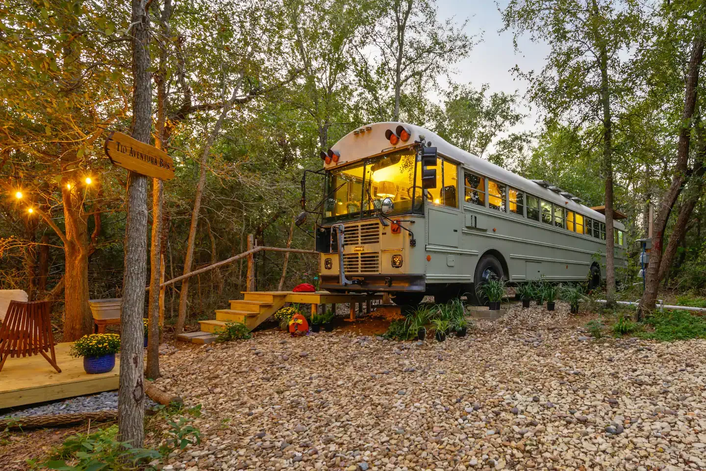 Tío Aventura settled among the trees.